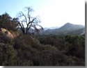 san mateo mountain views