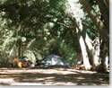 group camping