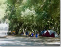 group of campers