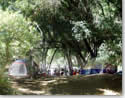 group campers