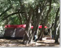single tent camper