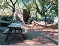 picnic area