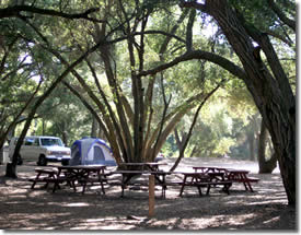 group area fire pit