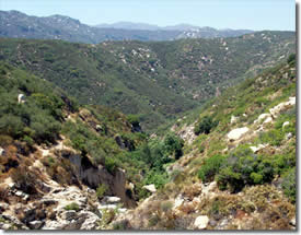 mountain view